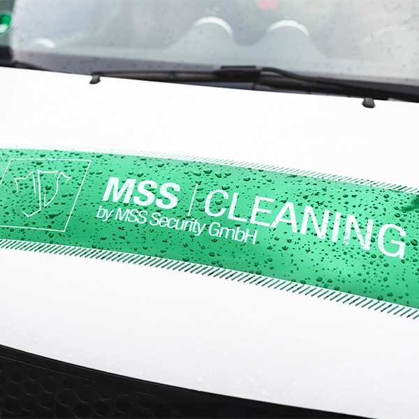 MSS Cleaning