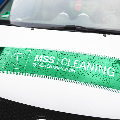 MSS Cleaning